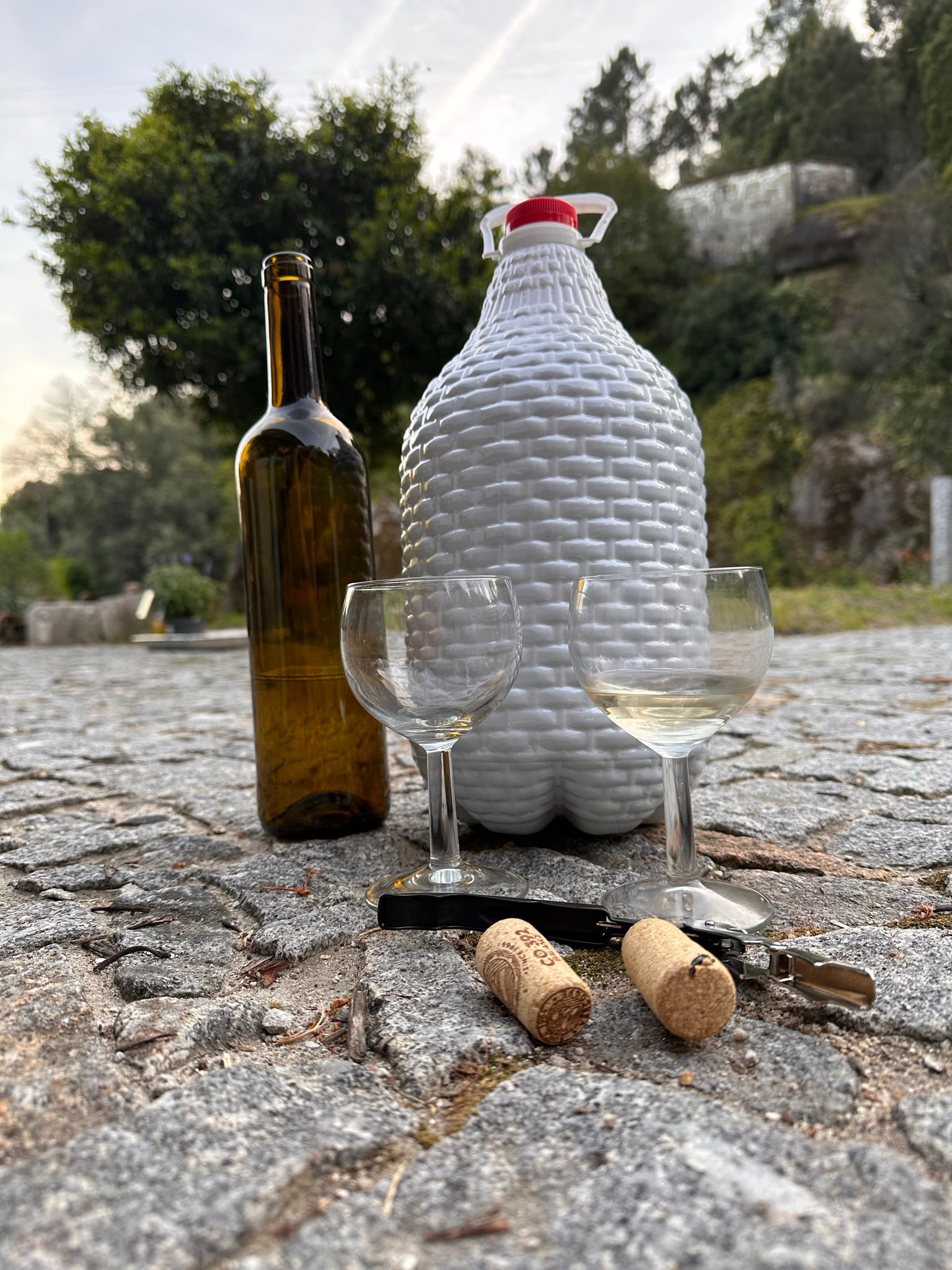 Settling in to Portugal, local wine